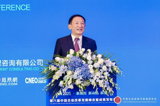 彭华岗：过去一年中国经济在全球经济复苏中展现了强大