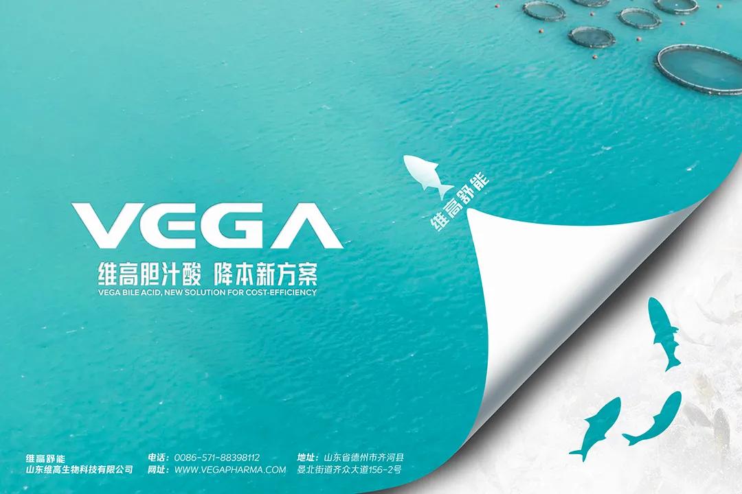 “猪茅”牧原2024年报创三项历史新高，净利润暴增超5倍