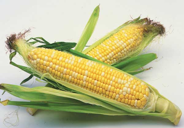 玉米补贴价格的确定方式是怎样的？这种方式有什么意义
