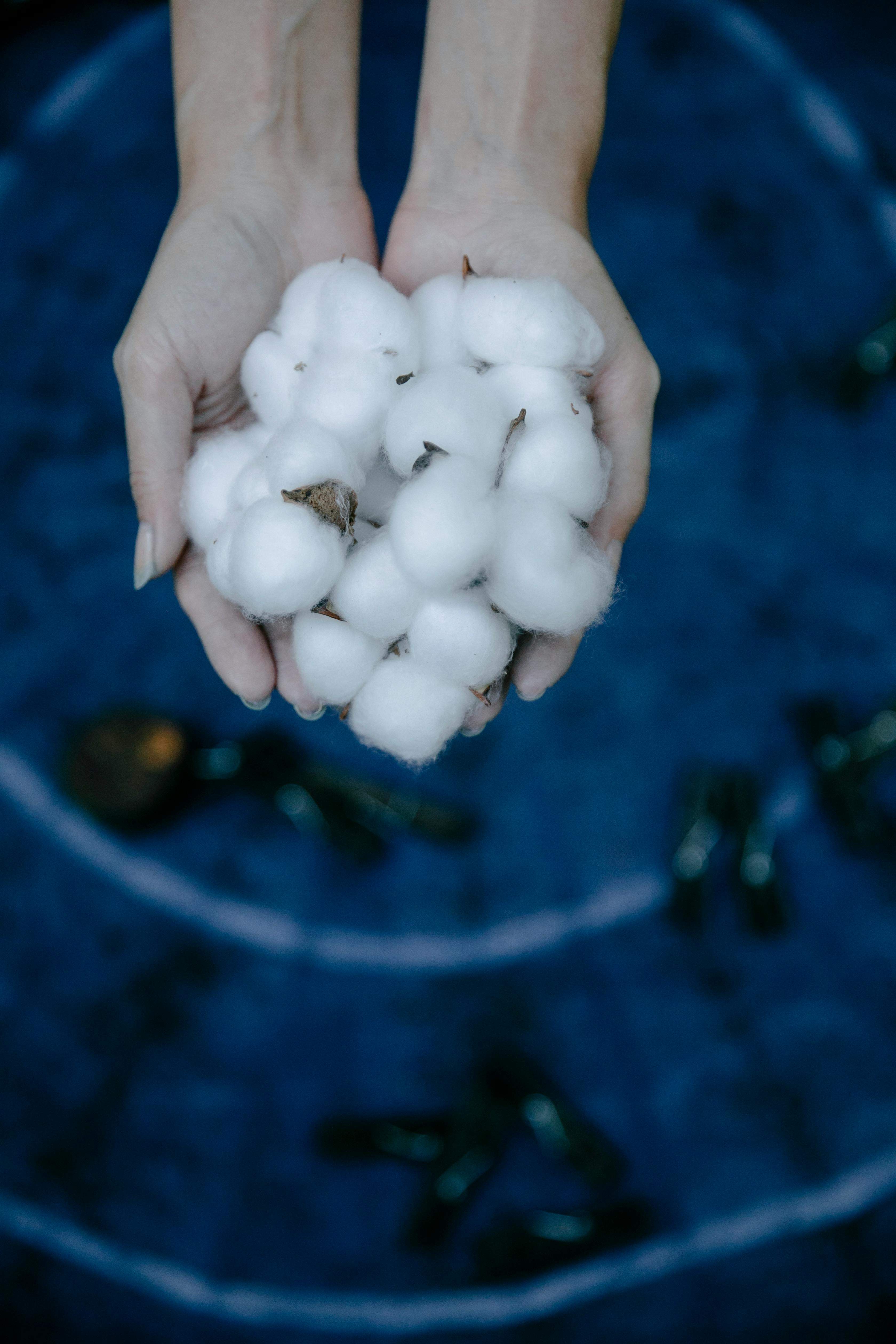 当归市场上的价格怎样体现其价值？这种价值体现有哪些