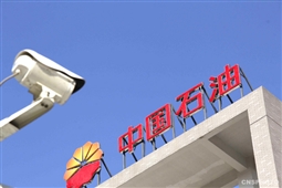 石油开户的激活资金怎样设置较为合适？这样的设置会带