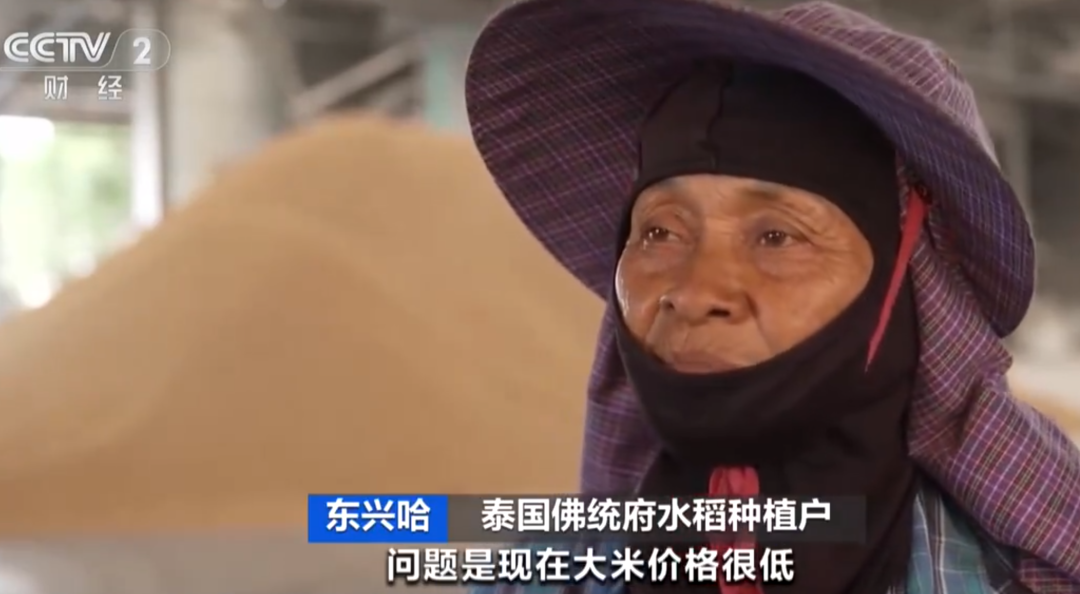 全球米价都在跌，日本却涨了又涨，原因在哪里？