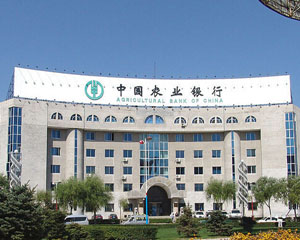 如何在银行办理信用卡的还款记录查询？