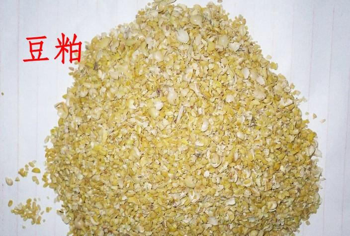 豆粕期权的特性是什么以及有哪些投资机会？这些投资机